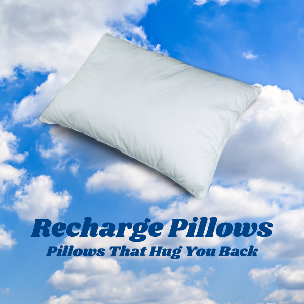 Recharge Pillows and Seat Cushions